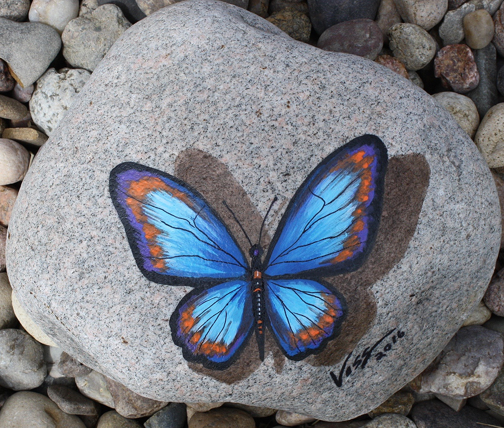 Butterfly Stone 3